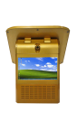 S-VM202-金色
